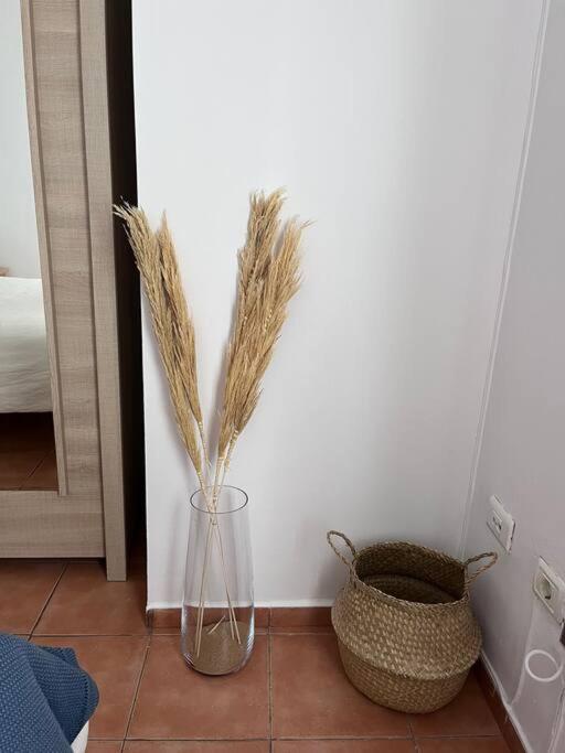 Casa Lunita Apartment Arona  Bagian luar foto